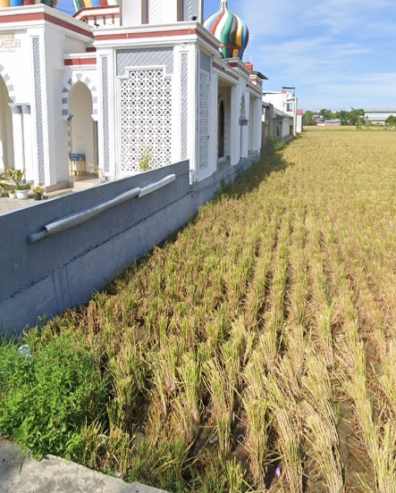 Gambar Tanah