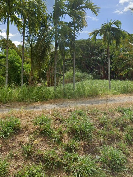 Gambar Tanah