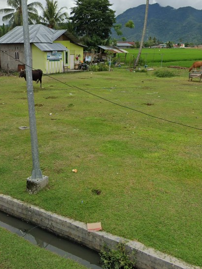 Gambar Tanah