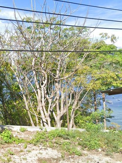 Gambar Tanah